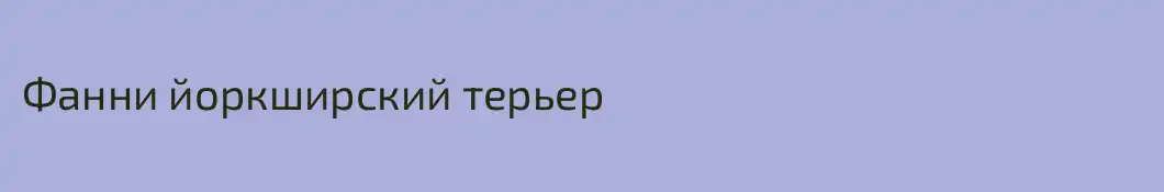 Фанни йоркширский терьер